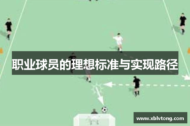 职业球员的理想标准与实现路径